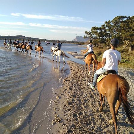 Appartamento Sette Posti Vicino Al Centro Di San Teodoro سان تيودورو المظهر الخارجي الصورة