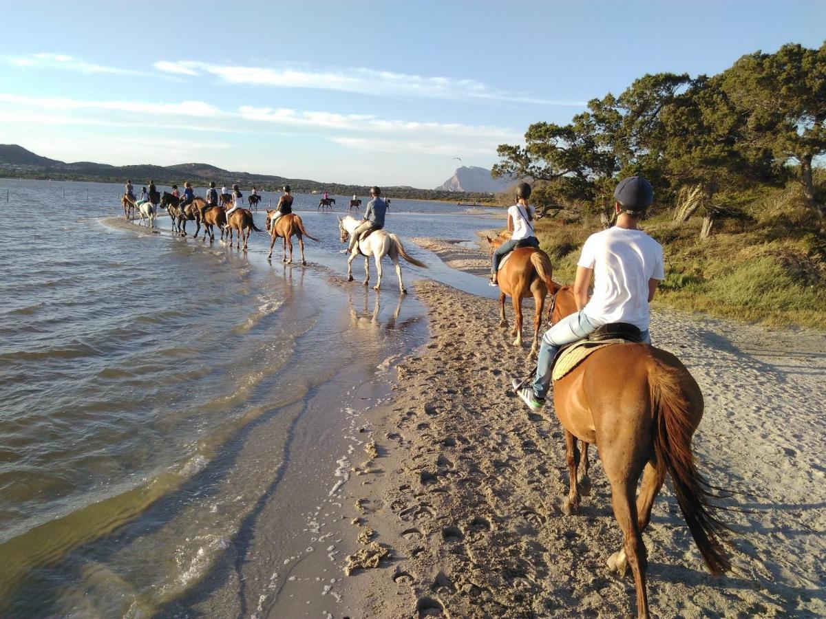 Appartamento Sette Posti Vicino Al Centro Di San Teodoro سان تيودورو المظهر الخارجي الصورة